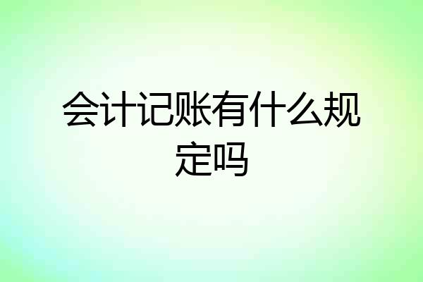 会计记账有什么规定吗