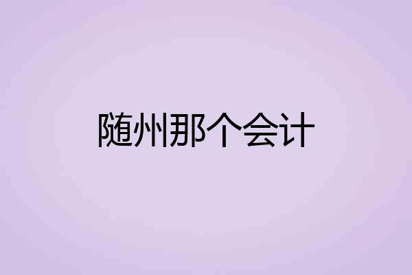 随州那个会计