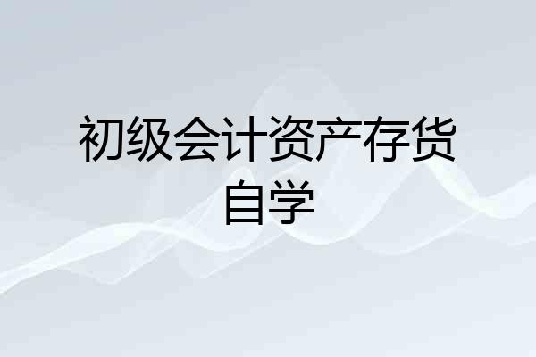 初级会计资产存货自学