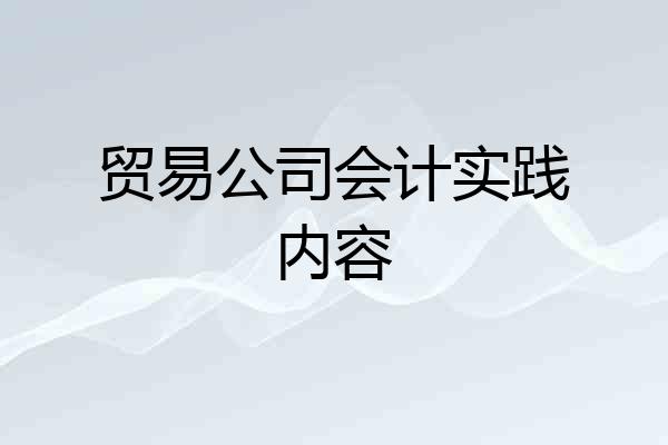 贸易公司会计实践内容