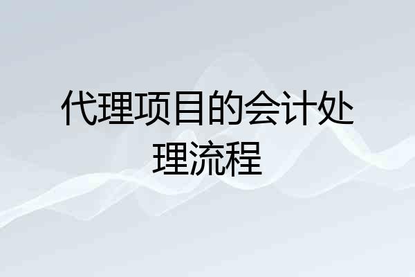 代理项目的会计处理流程