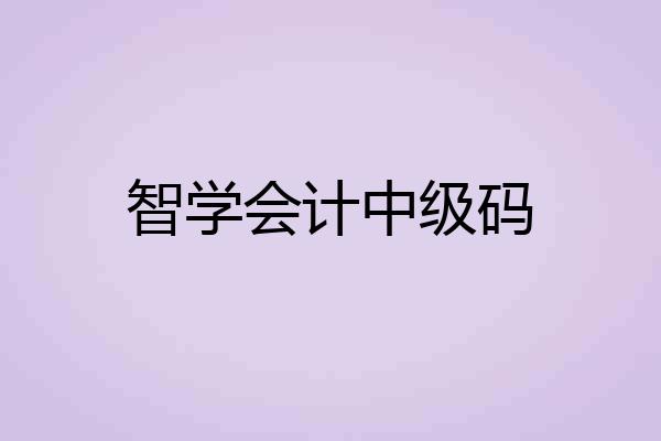 智学会计中级码