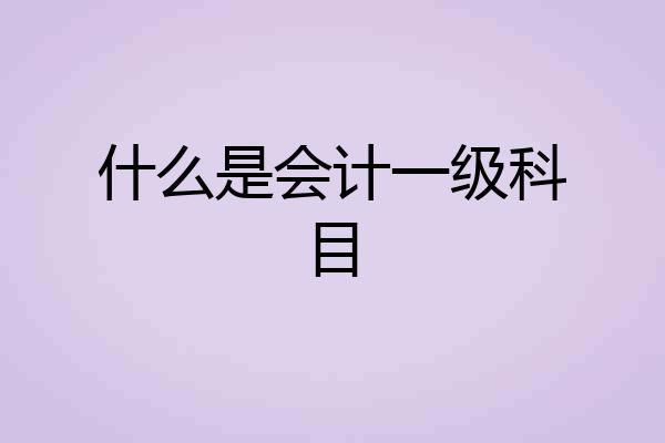 什么是会计一级科目