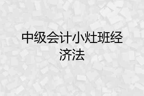 中级会计小灶班经济法