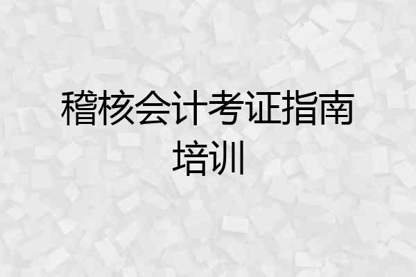 稽核会计考证指南培训