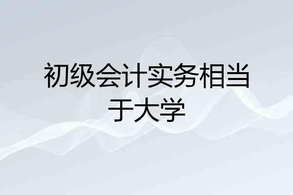 初级会计实务相当于大学