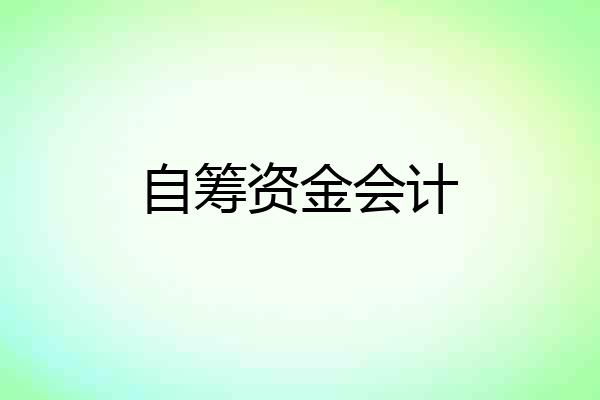 自筹资金会计