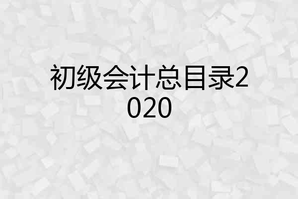初级会计总目录2020