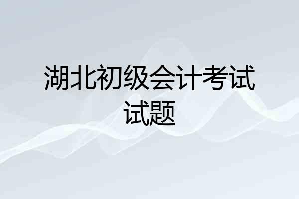 湖北初级会计考试试题