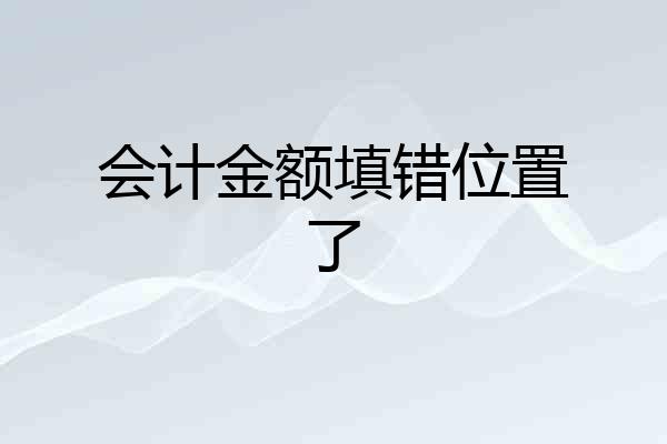 会计金额填错位置了
