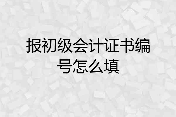 报初级会计证书编号怎么填