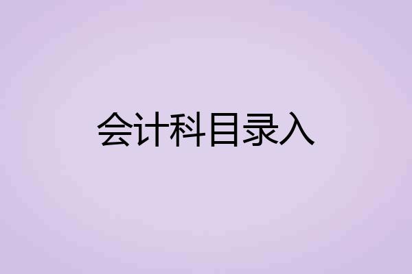 会计科目录入