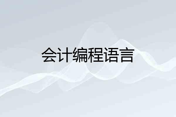 会计编程语言