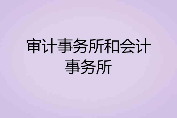 审计事务所和会计事务所