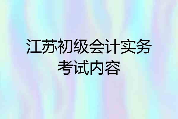 江苏初级会计实务考试内容
