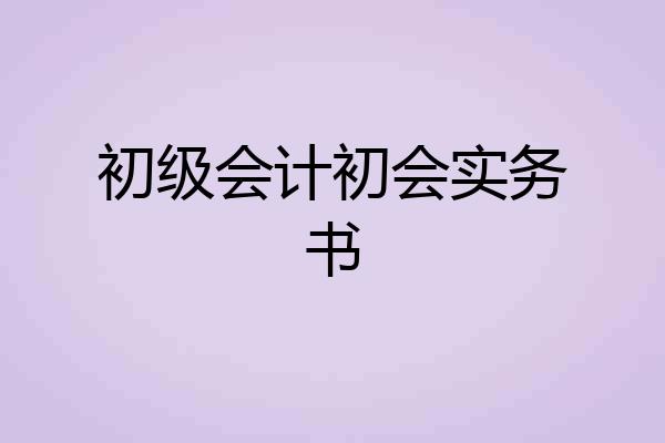 初级会计初会实务书
