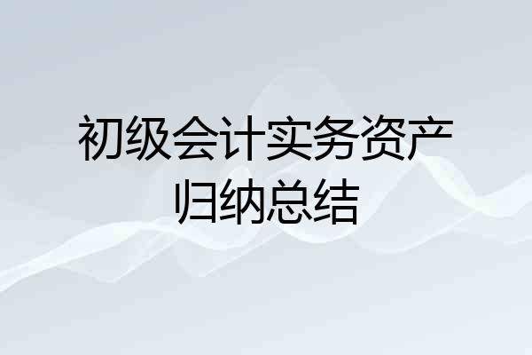 初级会计实务资产归纳总结