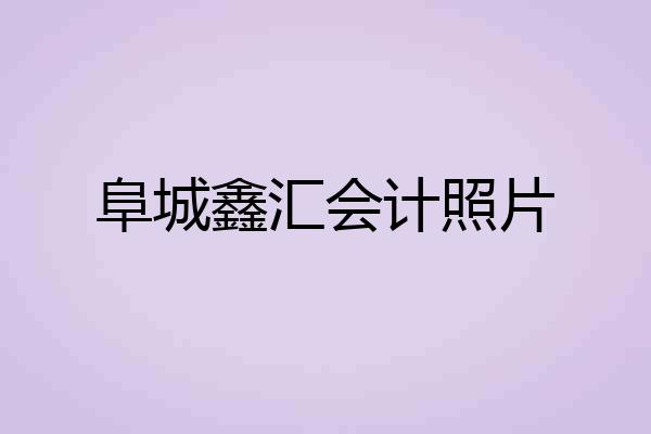 阜城鑫汇会计照片