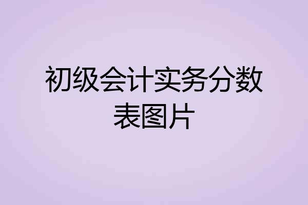 初级会计实务分数表图片