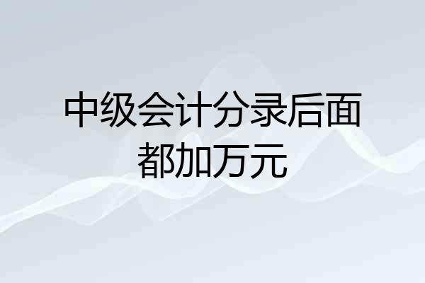 中级会计分录后面都加万元