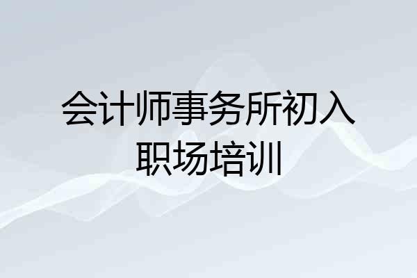 会计师事务所初入职场培训
