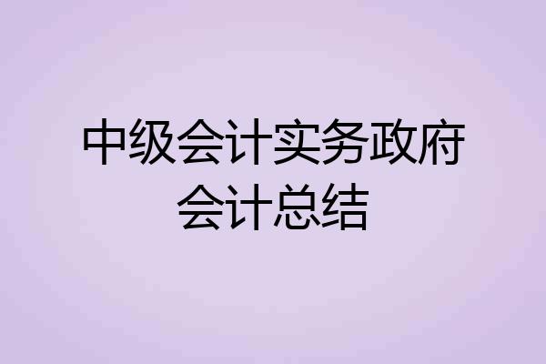 中级会计实务政府会计总结