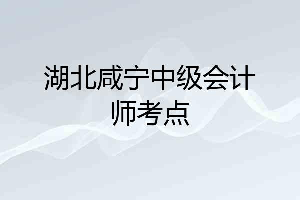 湖北咸宁中级会计师考点