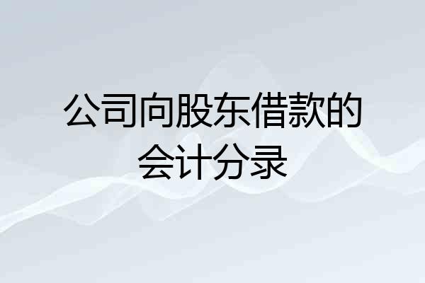 公司向股东借款的会计分录