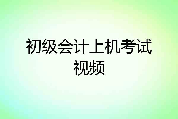 初级会计上机考试视频
