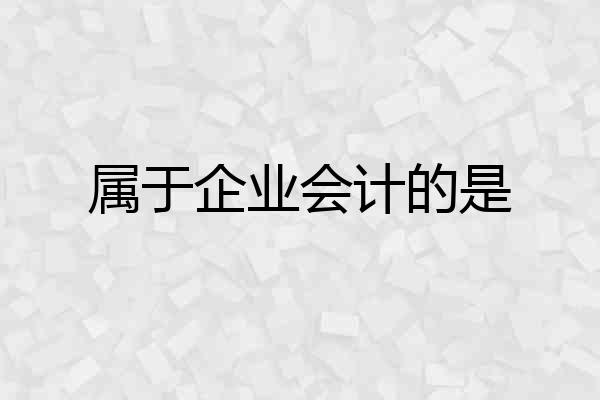 属于企业会计的是