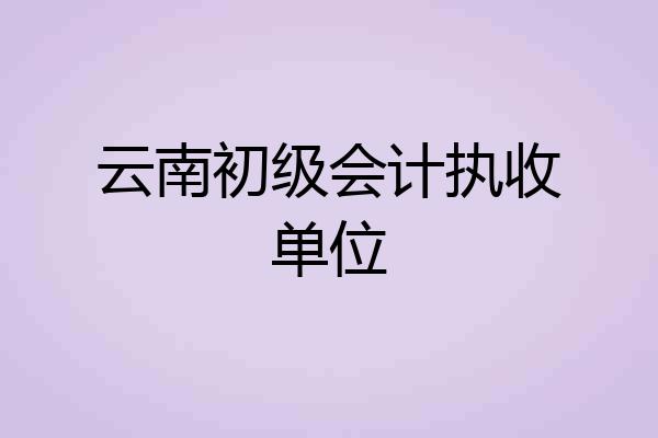 云南初级会计执收单位