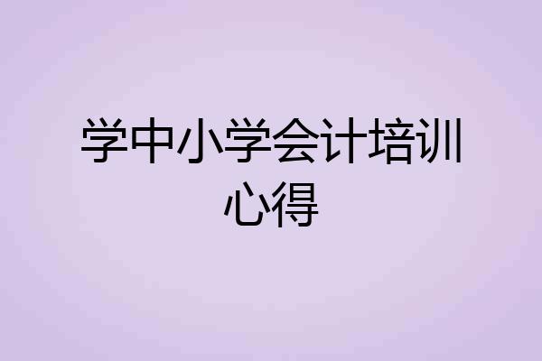学中小学会计培训心得