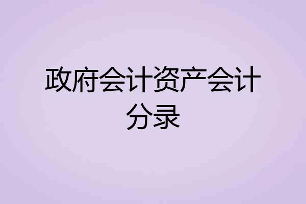政府会计资产会计分录
