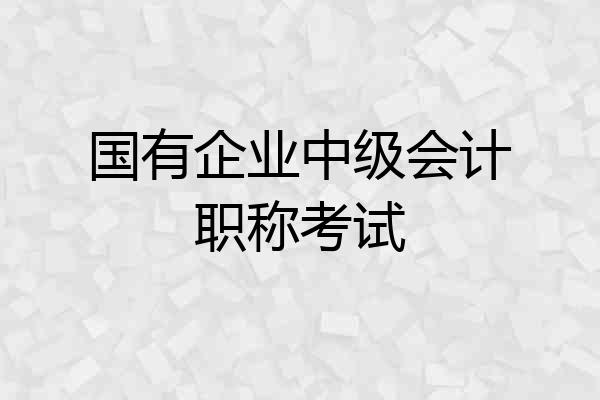 国有企业中级会计职称考试