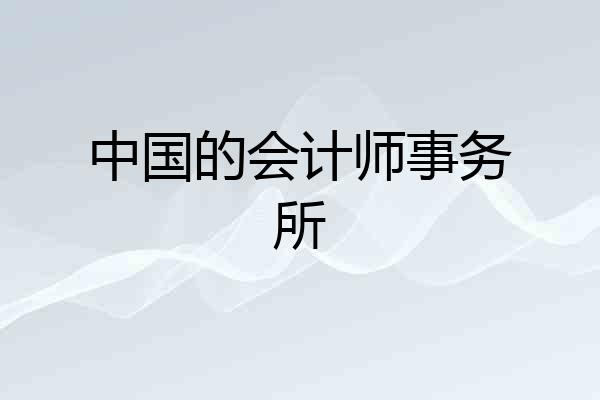 中国的会计师事务所