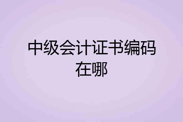 中级会计证书编码在哪