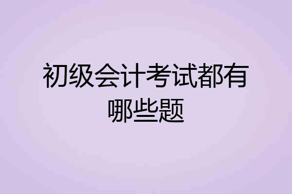 初级会计考试都有哪些题