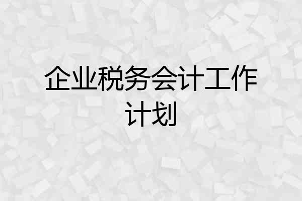 企业税务会计工作计划