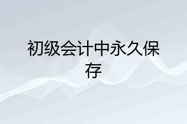 初级会计中永久保存