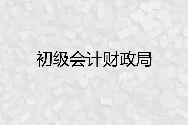 初级会计财政局