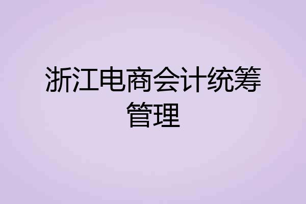 浙江电商会计统筹管理