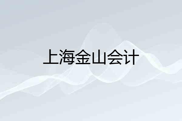 上海金山会计