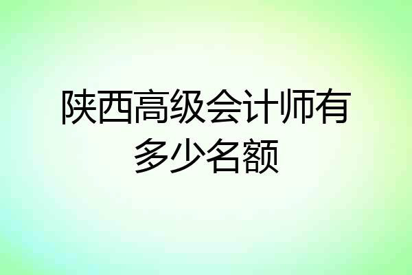 陕西高级会计师有多少名额