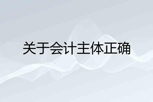 关于会计主体正确