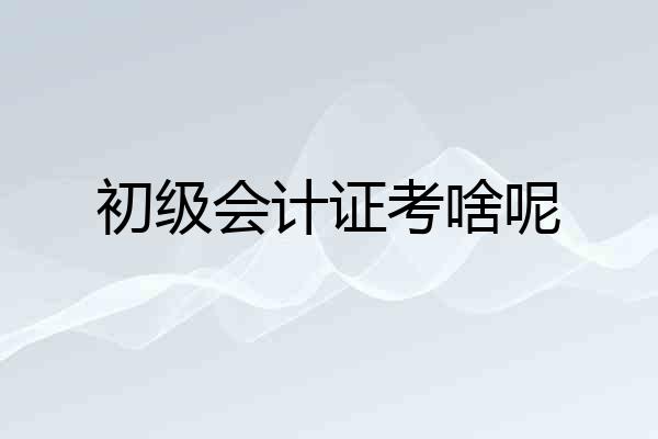 初级会计证考啥呢