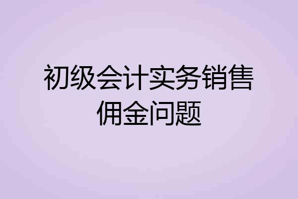 初级会计实务销售佣金问题