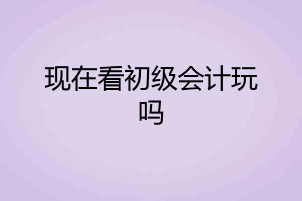 现在看初级会计玩吗