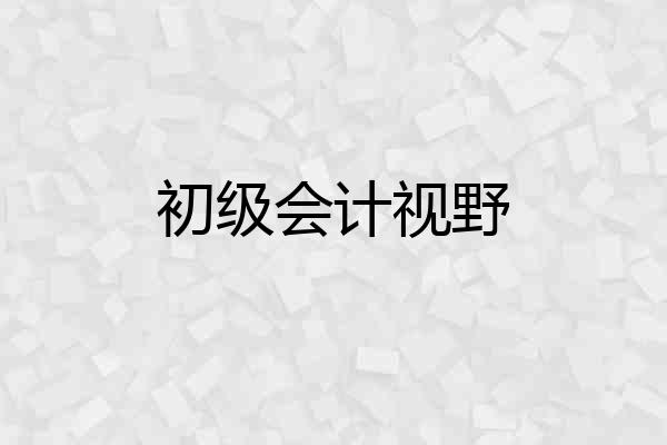 初级会计视野