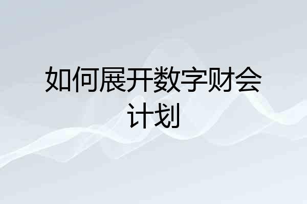 如何展开数字财会计划