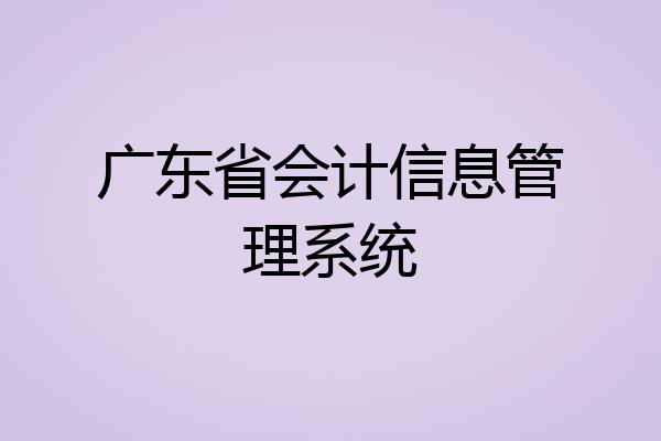 广东省会计信息管理系统